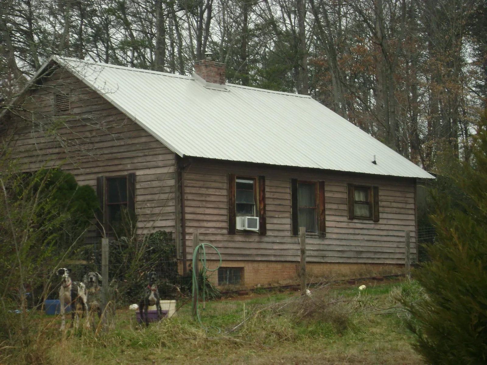 White metal roof on an old wood sided farmhouse, from a Asphalt Shingle Roof Repair job in Central Point